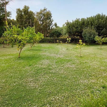 Agriturismo I Doni Del Mandorlo Alghero Dış mekan fotoğraf