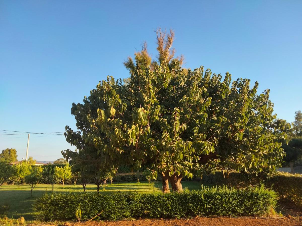 Agriturismo I Doni Del Mandorlo Alghero Dış mekan fotoğraf